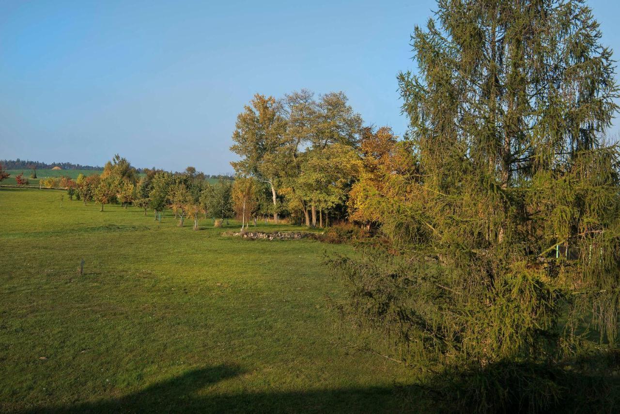 Hotel Zámek Libouň Louňovice pod Blaníkem Exterior foto