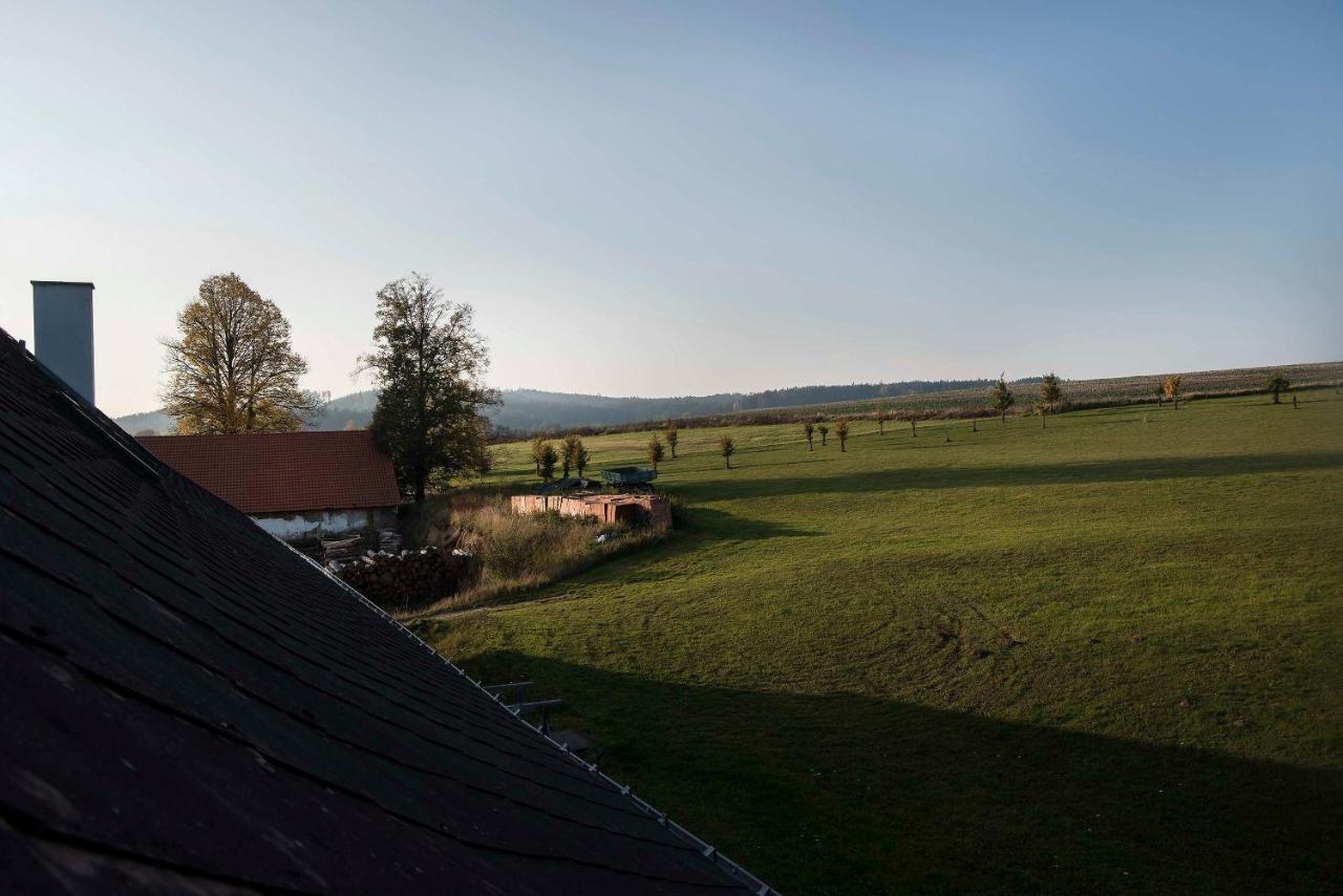 Hotel Zámek Libouň Louňovice pod Blaníkem Exterior foto