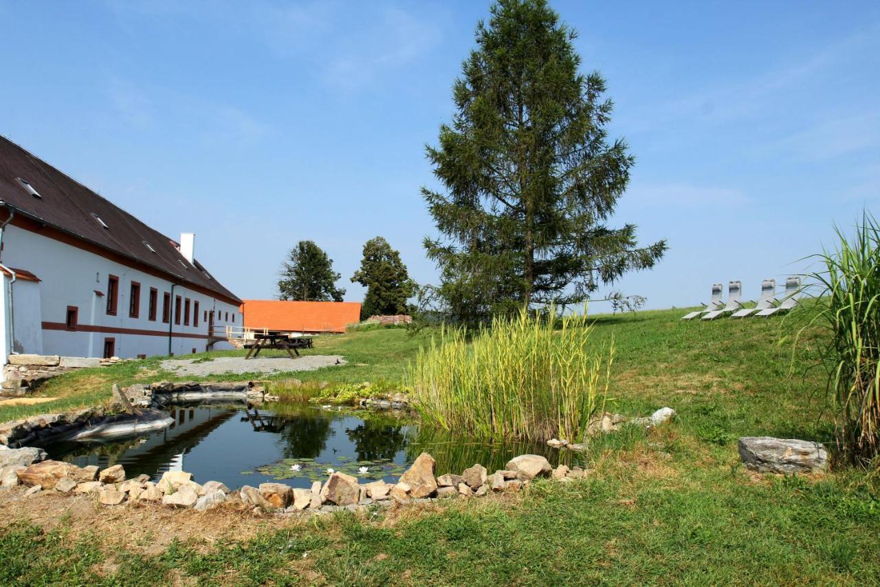 Hotel Zámek Libouň Louňovice pod Blaníkem Exterior foto